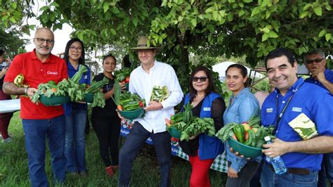 Mujeres dedicadas a la producción de palma camedor